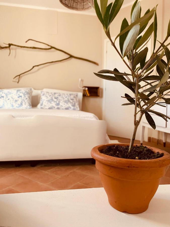 Вилла La Casa Nei Campi Badia Pavese Экстерьер фото
