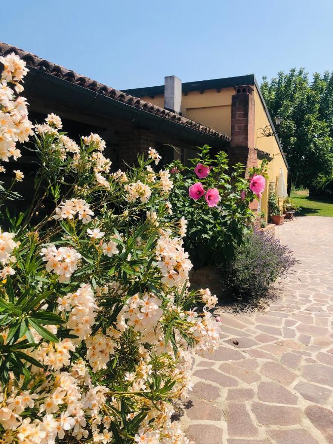 Вилла La Casa Nei Campi Badia Pavese Экстерьер фото